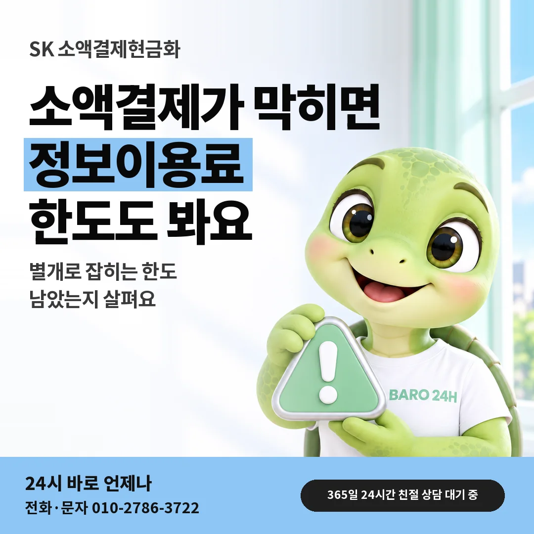 주의 표지판을 든 BARO 24H 티셔츠를 입은 3D 거북이 캐릭터 옆에 「SK 정보이용료 한도로 보기」 제목을 얹은 안내 카드