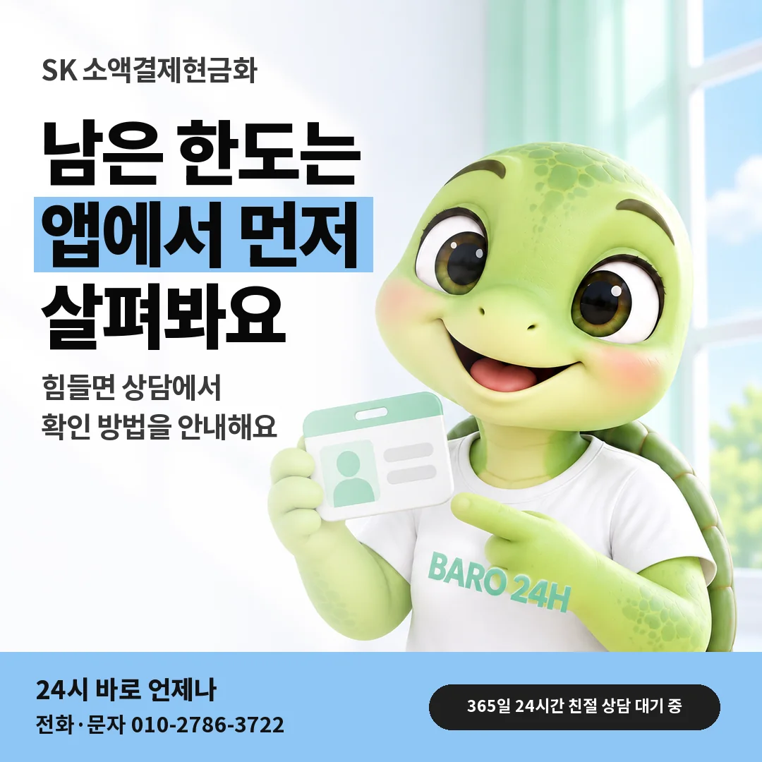 신분증을 든 BARO 24H 티셔츠를 입은 3D 거북이 캐릭터 옆에 「SK 남은 한도 확인 순서」 제목을 얹은 안내 카드